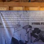 DSC_0202_00198 (July 11, 2022)