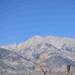 DSC_0206_00202 (July 11, 2022)