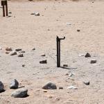 DSC_0208_00204 (July 11, 2022)