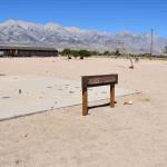 DSC_0209_00205 (July 11, 2022)