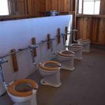 DSC_0213_00209 (July 11, 2022)