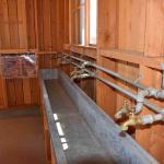 DSC_0216_00212 (July 11, 2022)