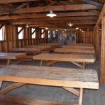 DSC_0220_00216 (July 11, 2022)