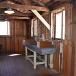 DSC_0222_00218 (July 11, 2022)