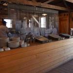 DSC_0225_00221 (July 11, 2022)