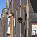 DSC_0227_00223 (July 11, 2022)