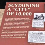 DSC_0228_00224 (July 11, 2022)