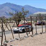 DSC_0238_00234 (July 11, 2022)