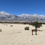 OTRA_2022_120 (July 11, 2022)