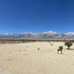 OTRA_2022_128 (July 11, 2022)