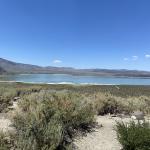 OTRA_2022_173 (July 11, 2022)