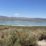 OTRA_2022_174 (July 11, 2022)