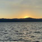 OTRA_2022_235 (July 12, 2022)