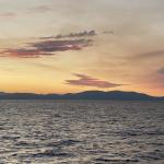 OTRA_2022_242 (July 12, 2022)