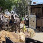 OTRA_2022_309 (July 13, 2022)