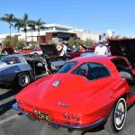 DSC_0061_00046 (November 12, 2022)