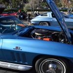 DSC_0064_00049 (November 12, 2022)