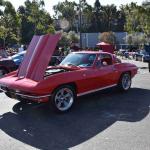 DSC_0074_00059 (November 12, 2022)