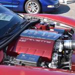 DSC_0075_00060 (November 12, 2022)