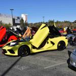 DSC_0085_00069 (November 12, 2022)