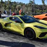 DSC_0087_00071 (November 12, 2022)