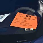 DSC_0089_00073 (November 12, 2022)