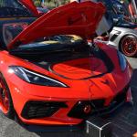 DSC_0095_00079 (November 12, 2022)