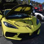 DSC_0097_00081 (November 12, 2022)