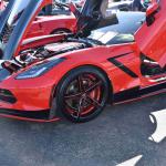 DSC_0098_00082 (November 12, 2022)