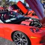 DSC_0099_00083 (November 12, 2022)