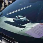 DSC_0104_00088 (November 12, 2022)