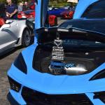 DSC_0105_00089 (November 12, 2022)