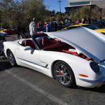 DSC_0112_00095 (November 12, 2022)