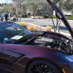 DSC_0123_00106 (November 12, 2022)