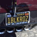 DSC_0125_00108 (November 12, 2022)