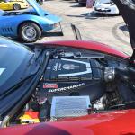 DSC_0143_00118 (November 12, 2022)