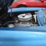 DSC_0084_00081 (May 28, 2022)