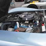 DSC_0088_00085 (May 28, 2022)