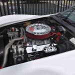 DSC_0101_00098 (May 28, 2022)