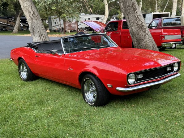 PatriottsandPaws_008