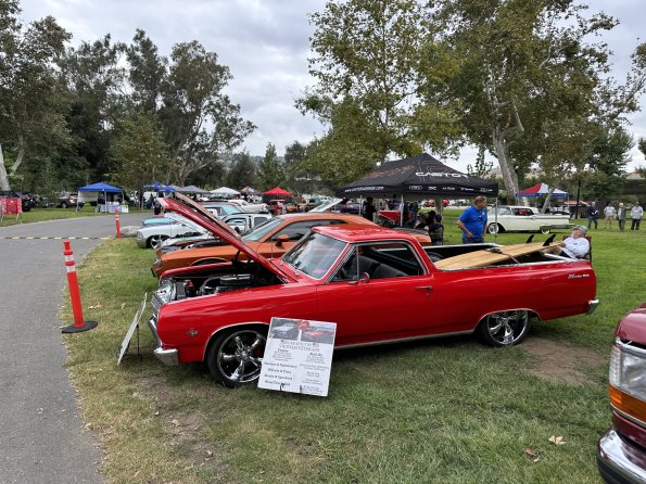 PatriottsandPaws_014