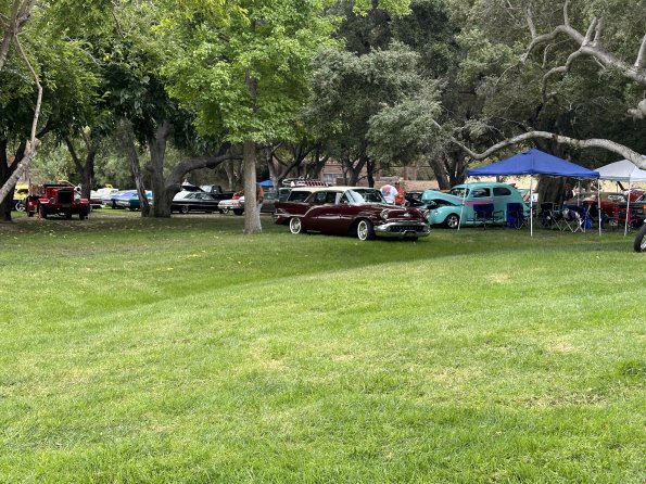 PatriottsandPaws_015