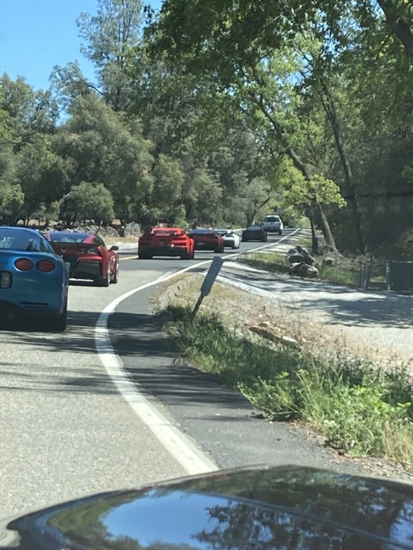 OTRA_2024_norris_021