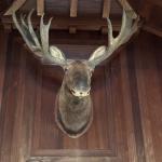 OTRA_2024_220 (May 13, 2024)