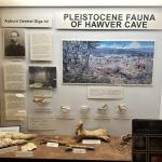 OTRA_2024_291 (May 13, 2024)