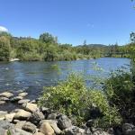 OTRA_2024_350 (May 13, 2024)