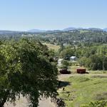 OTRA_2024_389 (May 13, 2024)