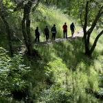 OTRA_2024_423 (May 13, 2024)