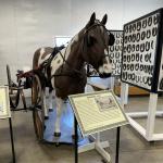 OTRA_2024_545 (May 13, 2024)