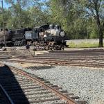 OTRA_2024_739 (May 13, 2024)